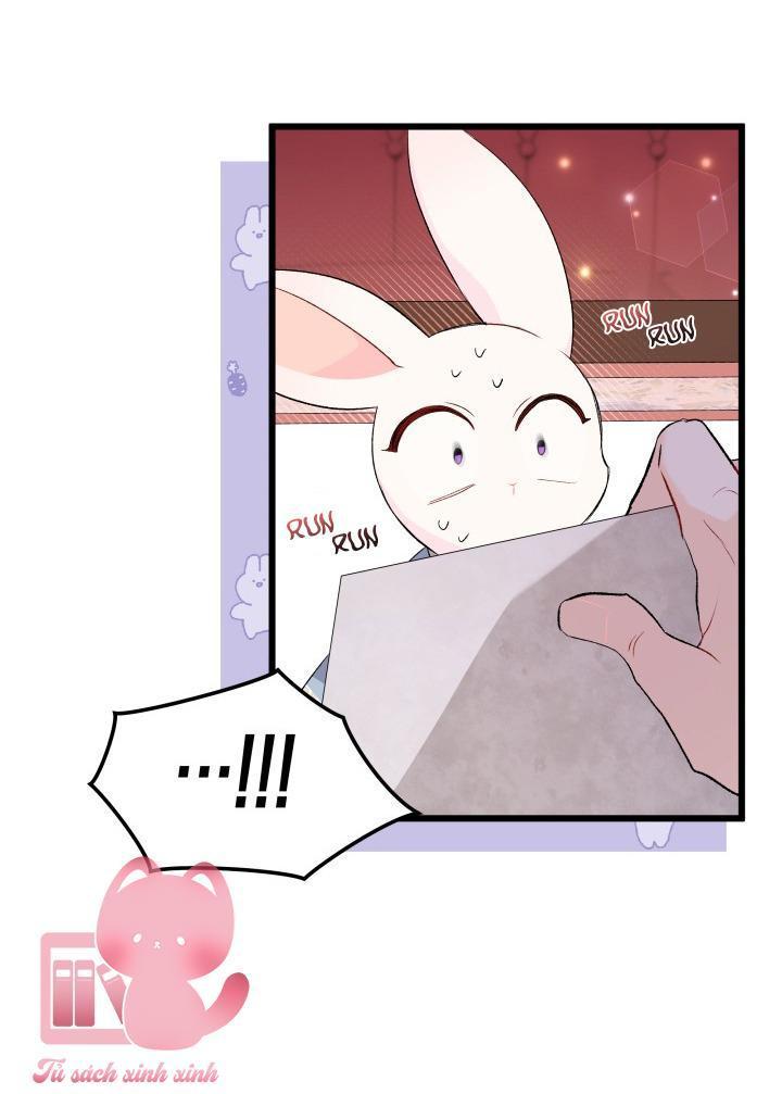 quan hệ cộng sinh giữa báo đen và thỏ trắng chapter 84 31