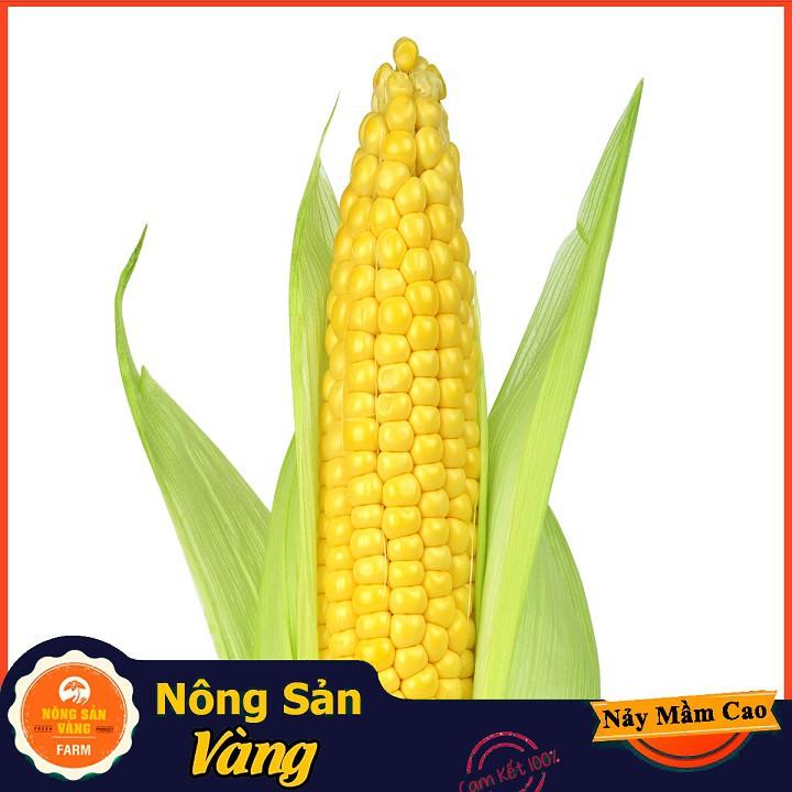 Hạt giống Bắp Mỹ (Ngô Mỹ) ( Gói 5 Gram ) - Nông Sản Vàng