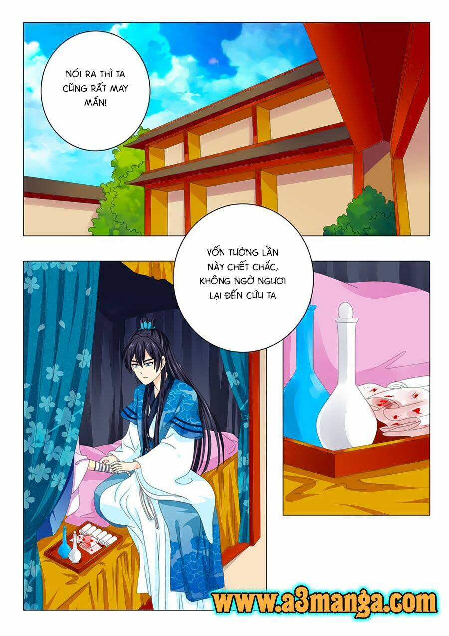 đống phù đã khai quang chapter 36 6