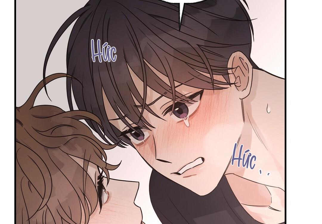 phức cảm tự ti của omega chapter 28 50