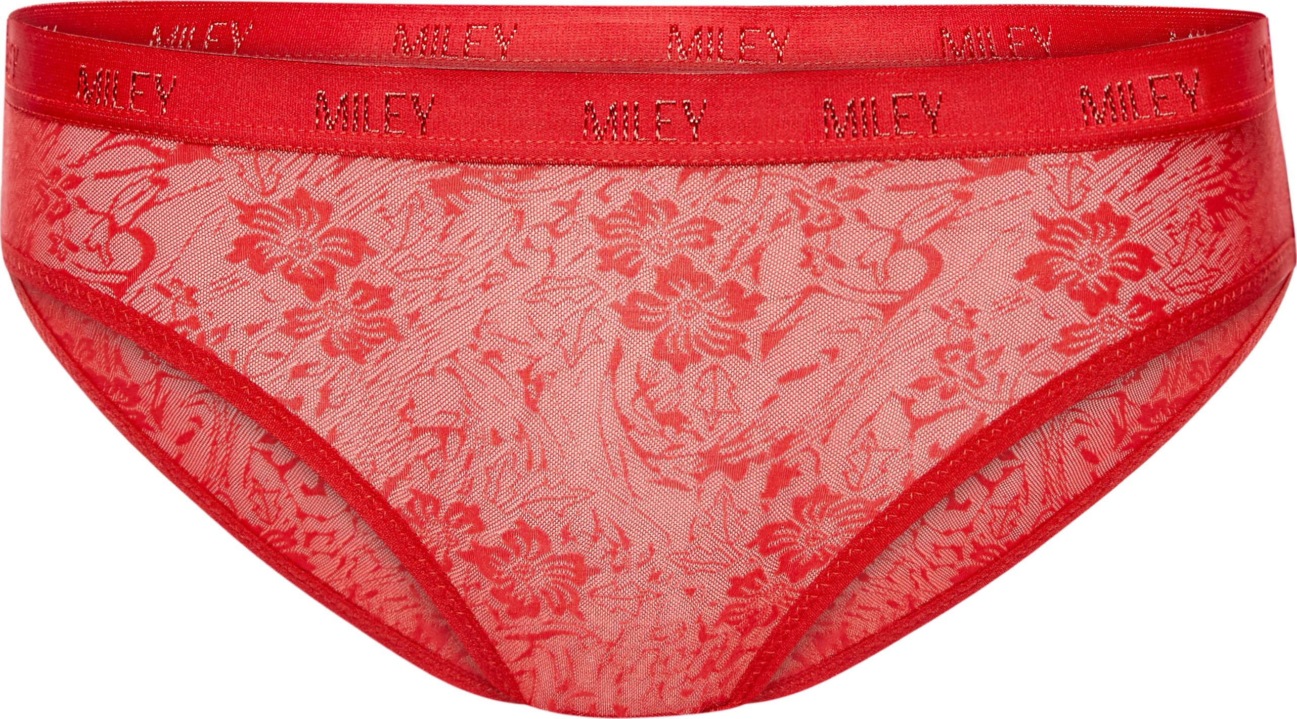 Bộ 5 quần lót nữ ren cao cấp lưng logo Miley Lingerie