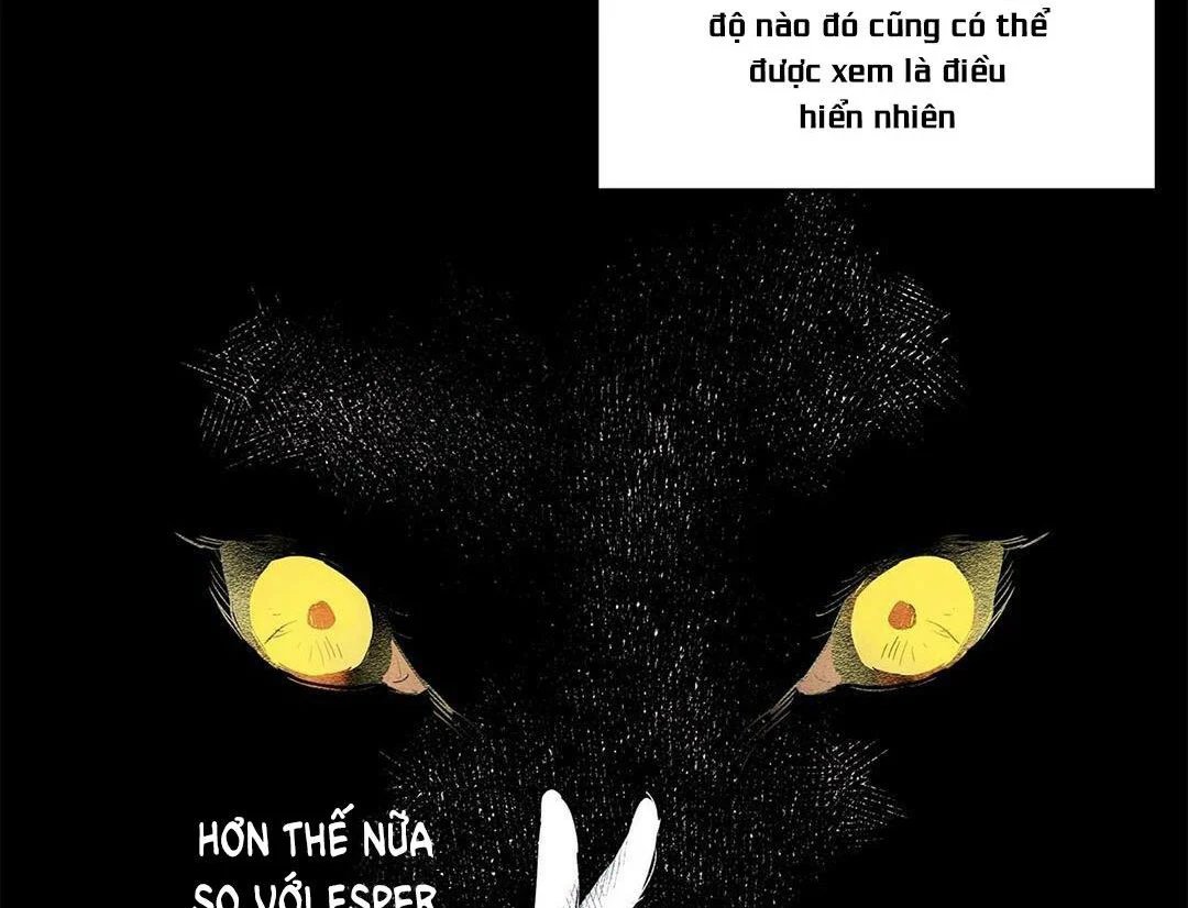 guide cấp b chapter 13 81