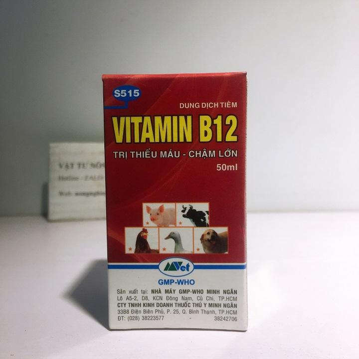 VITAMIN B12 LỌ 50ML CHUYÊN DÙNG CHO LAN - GIÚP TRỪ NẤM BỆNH CHO CÂY SAU MỘT THỜI GIAN MƯA DÀI