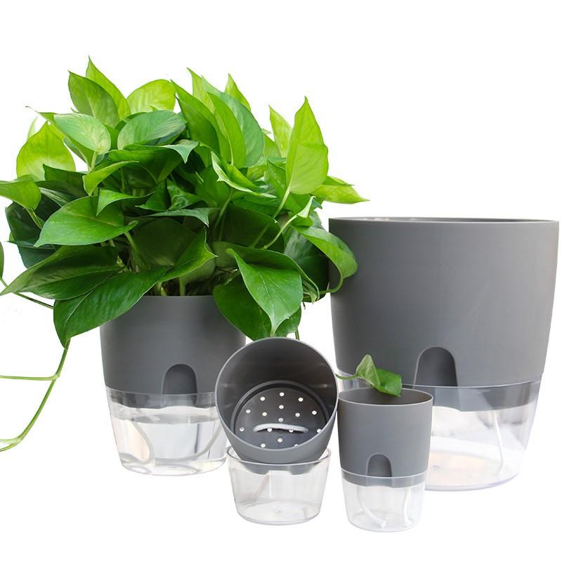 Chậu trồng cây thông minh hình tròn, đáy trong suốt, có chức năng tự tưới nước, chậu trồng cây sang trọng cho văn phòng