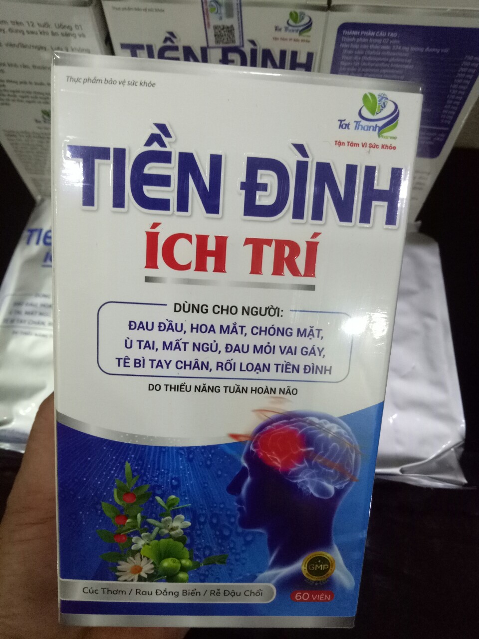 Tiền đình ích trí