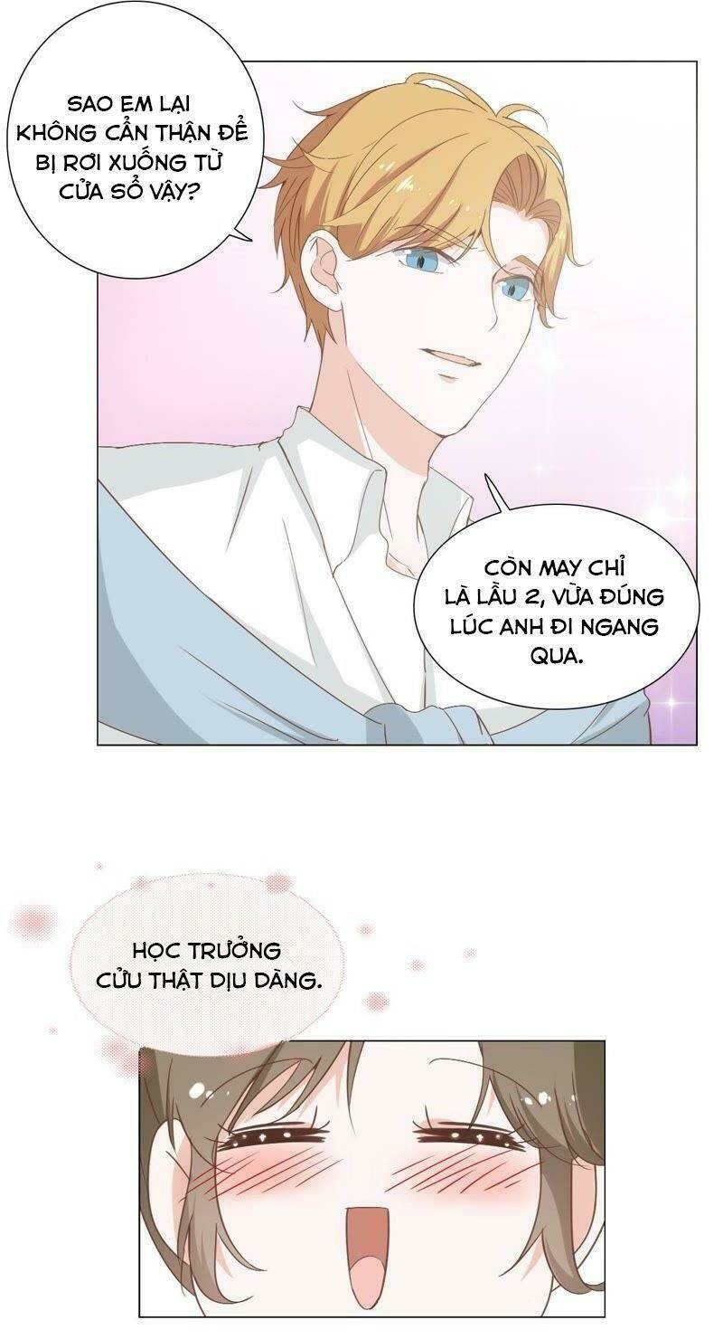 thập nhị hắc miêu chapter 5 6
