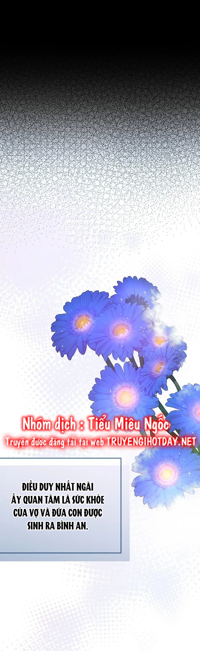 aster yêu dấu của tôi chapter 53 8