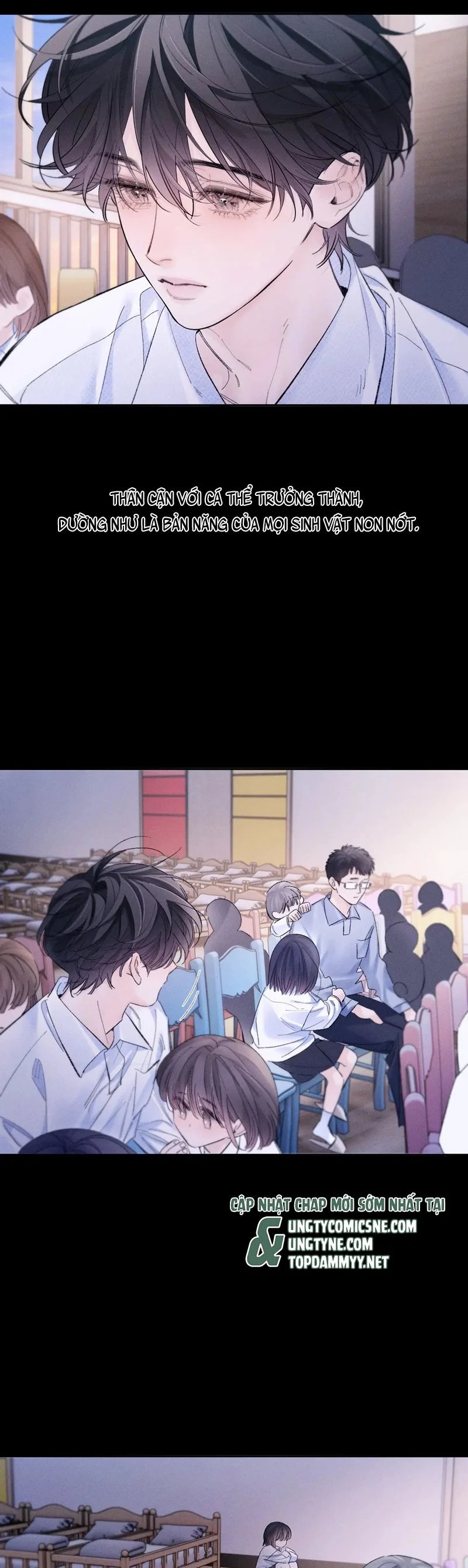 cây nấm nhỏ chapter 51 15