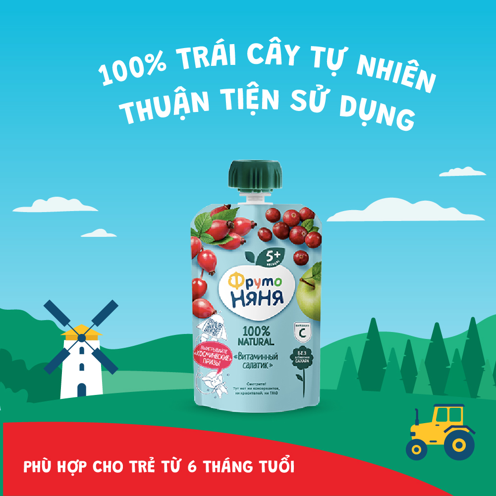 Thùng 12 Gói Trái cây nghiền vị táo, quả tầm xuân và nam việt quất Fruto Nyanya 90g