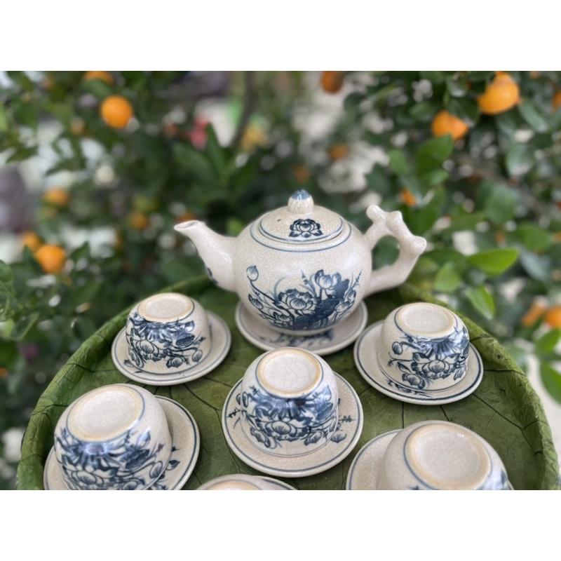 Bộ ấm chén gốc cây