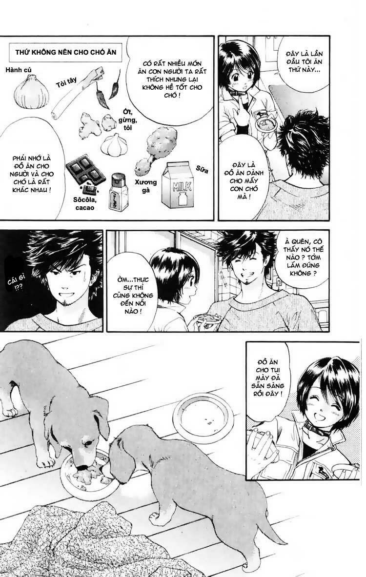 cô nàng yêu chó chapter 3 8