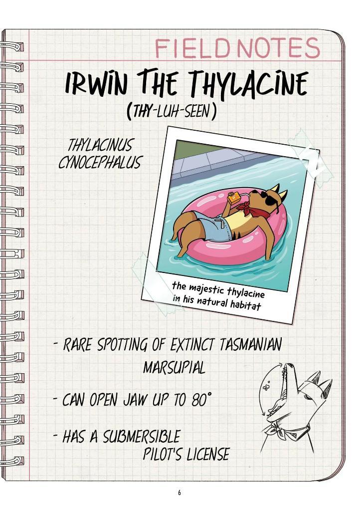 Sách ngoại văn: Jackson's Wilder Adventures Vol. 2