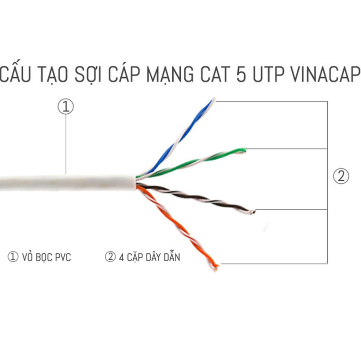Cáp mạng cat5e Vinacap UTP - Hàng Chính Hãng