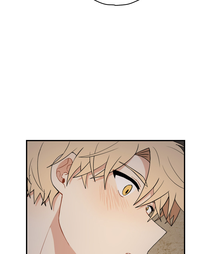 đường hoa liên kiều rơi chapter 17 27