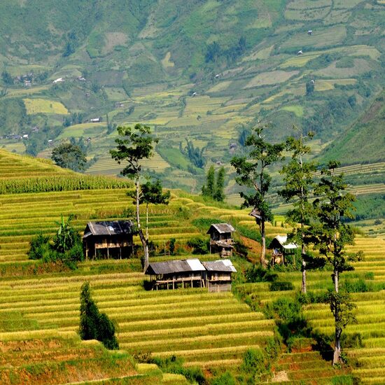 Tây Bắc: Hà Nội - Nghĩa Lộ - Tú Lệ - Mù Cang Chải - Sapa - Fansipan - Lai Châu - Điện Biên - Sơn La - Mộc Châu Island - Trải nghiệm cầu kính đi bộ dài nhất thế giới