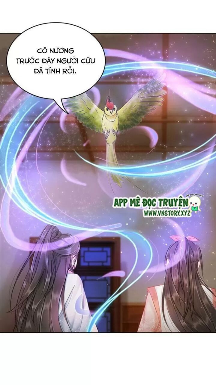 cực phẩm phế vật tiểu thư chapter 80 33