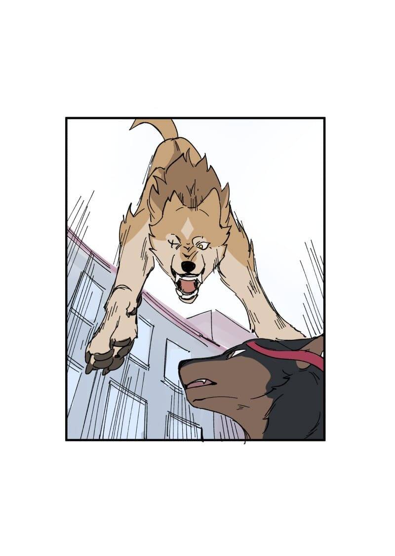 lumine - cội nguồn ánh sáng chapter 153 1