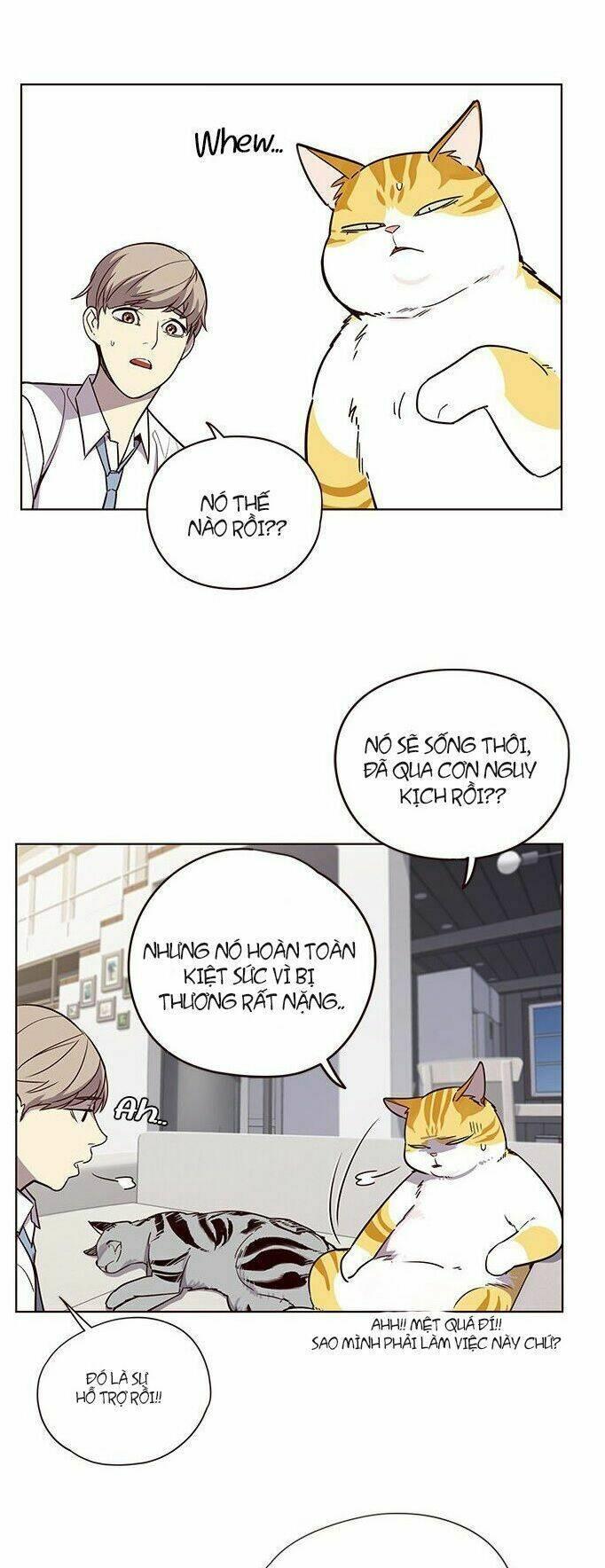 biến thân thành mèo chapter 6 3