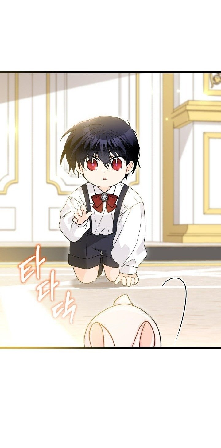 mối liên kết giữa báo đen và bé thỏ chapter 168 44