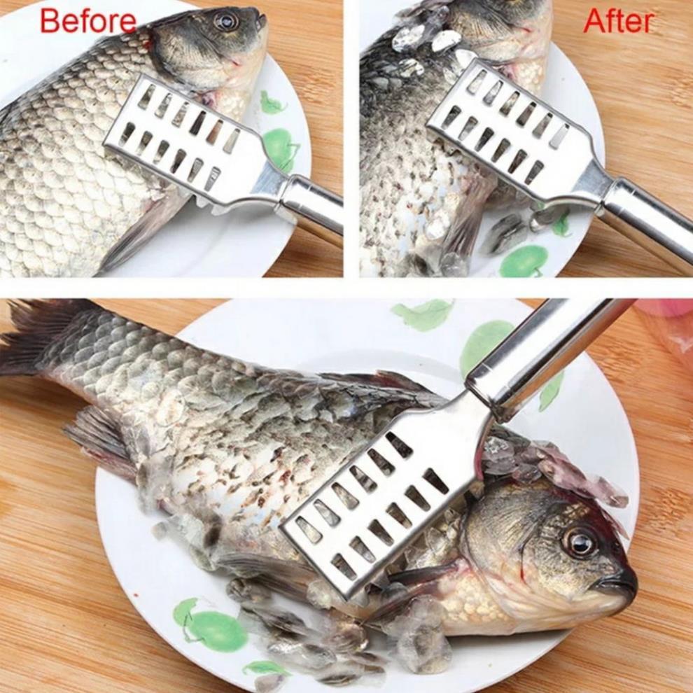 Dụng cụ đánh vẩy cá inox