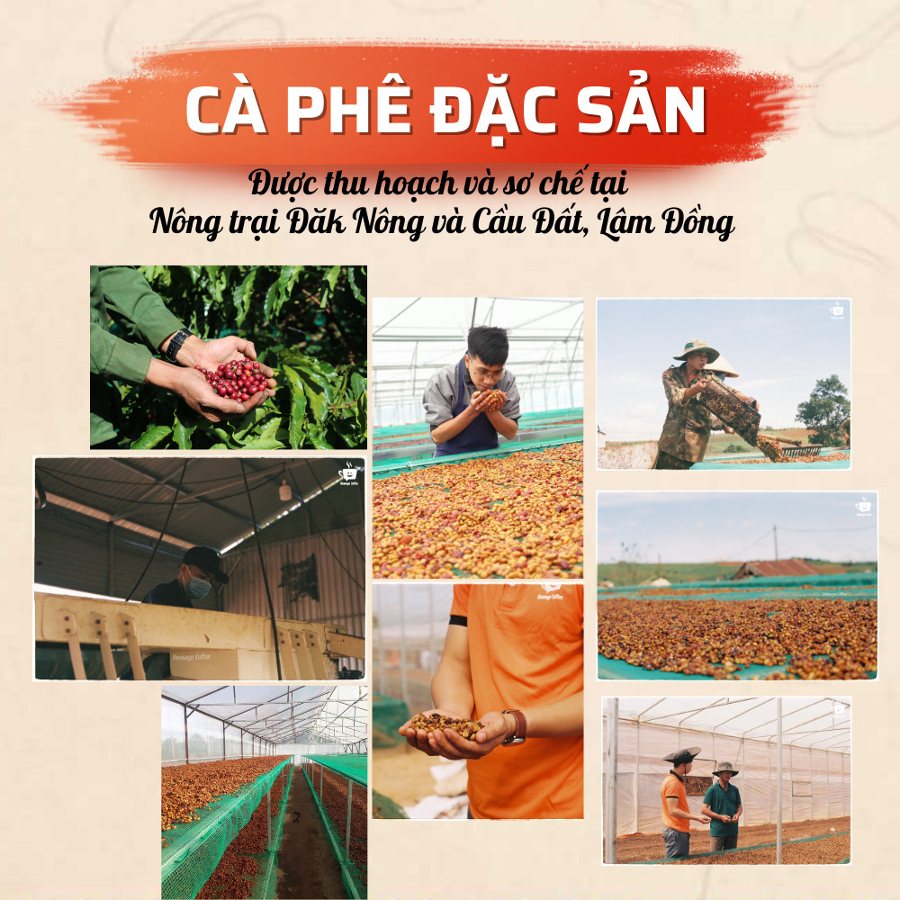 Hình ảnh Cà Phê Arabica Cầu Đất Nguyên Chất Rang Mộc Đặc Biệt, Hậu Vị Ngọt Đậm Hương Trái Cây, Hạt Pha Máy Xay Pha Phin Ngon Từ Nông Trại Message Coffee  