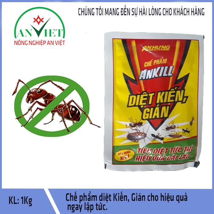 Diệt kiến gián sinh học hiệu quả Ankill