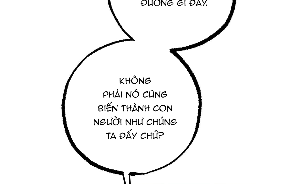 đàn thỏ của habibi chapter 30 227