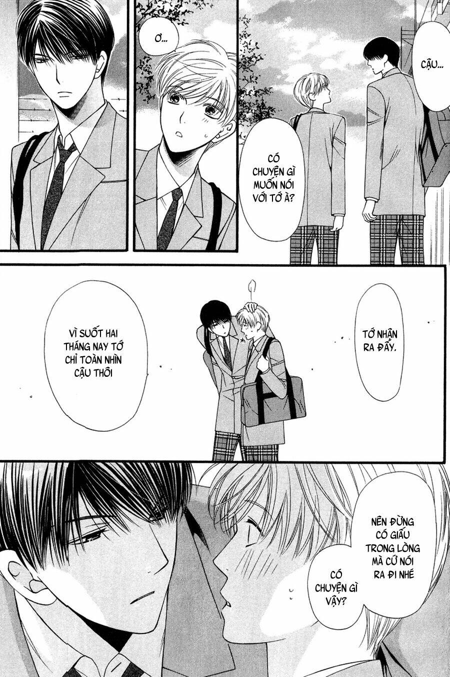 neko neko honey chapter 11 17