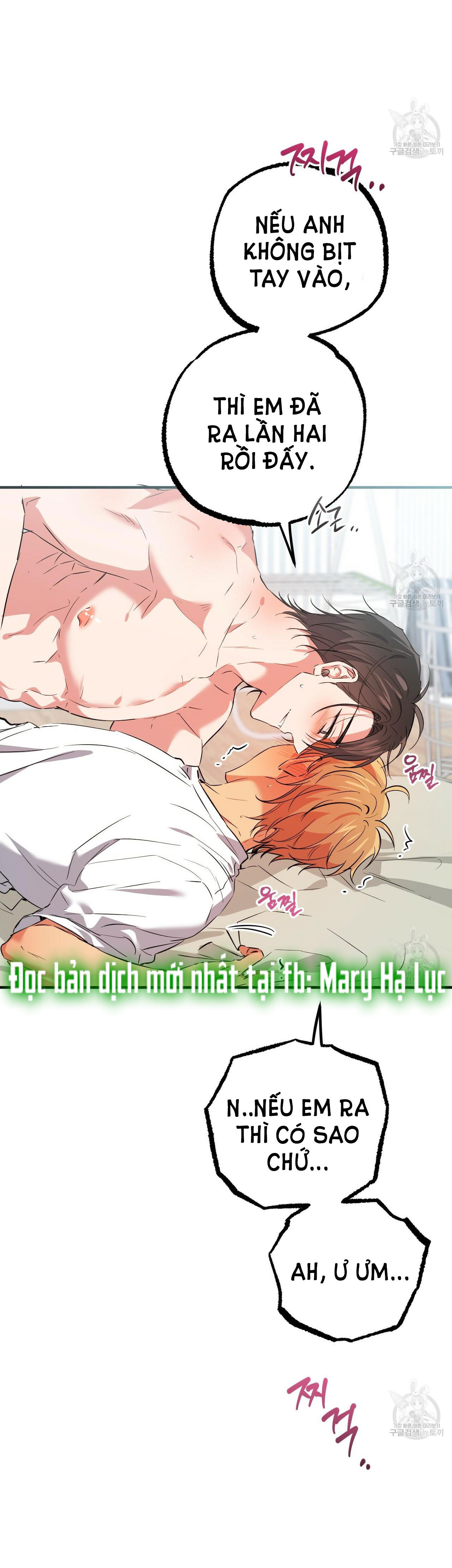 những chú thỏ của hapypy chapter 54.2 10