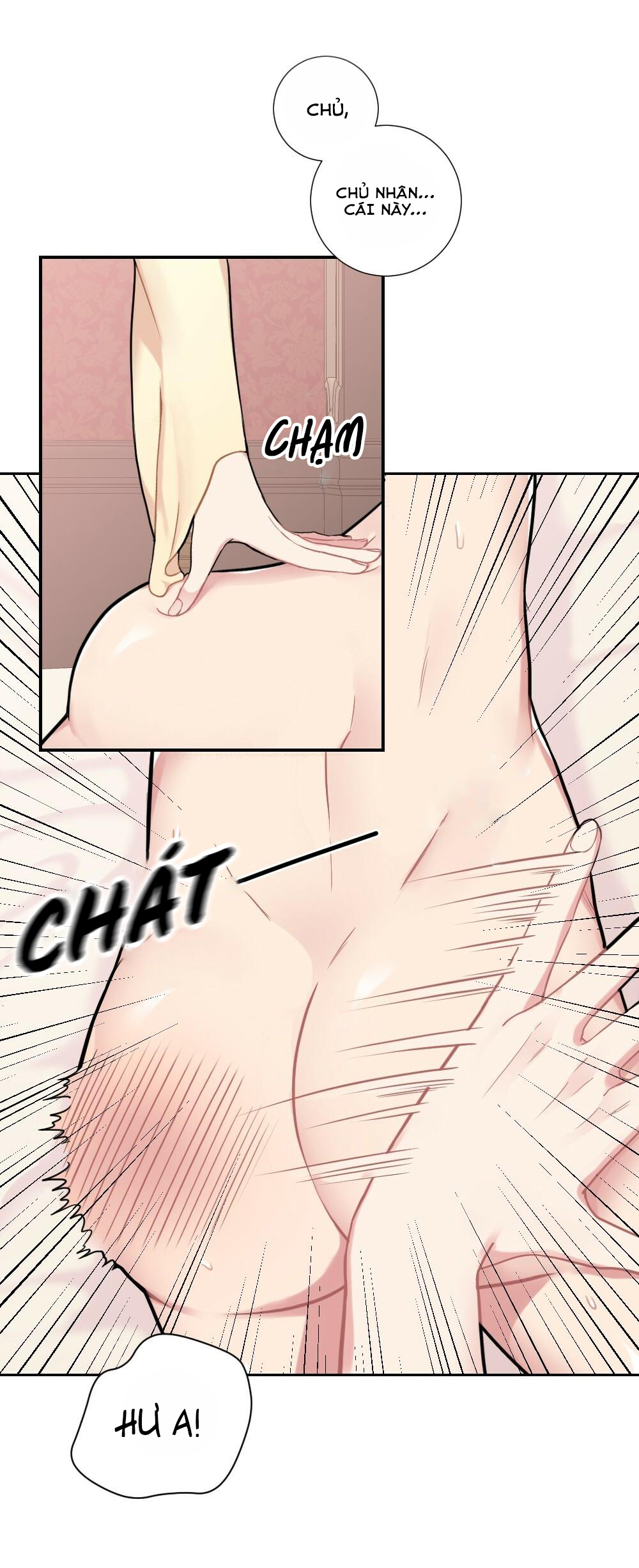 tiểu thư và dàn hầu nam mlem chapter 8 29