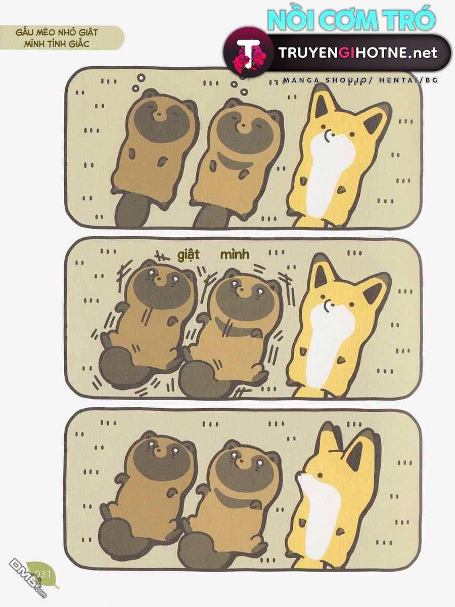 cáo và gấu mèo chapter 3 7