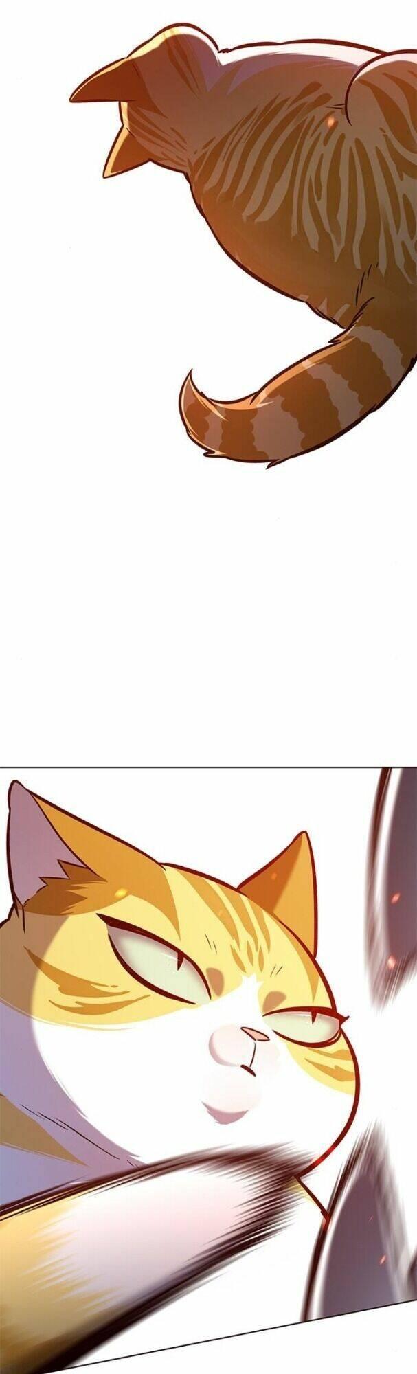 biến thân thành mèo chapter 163 16