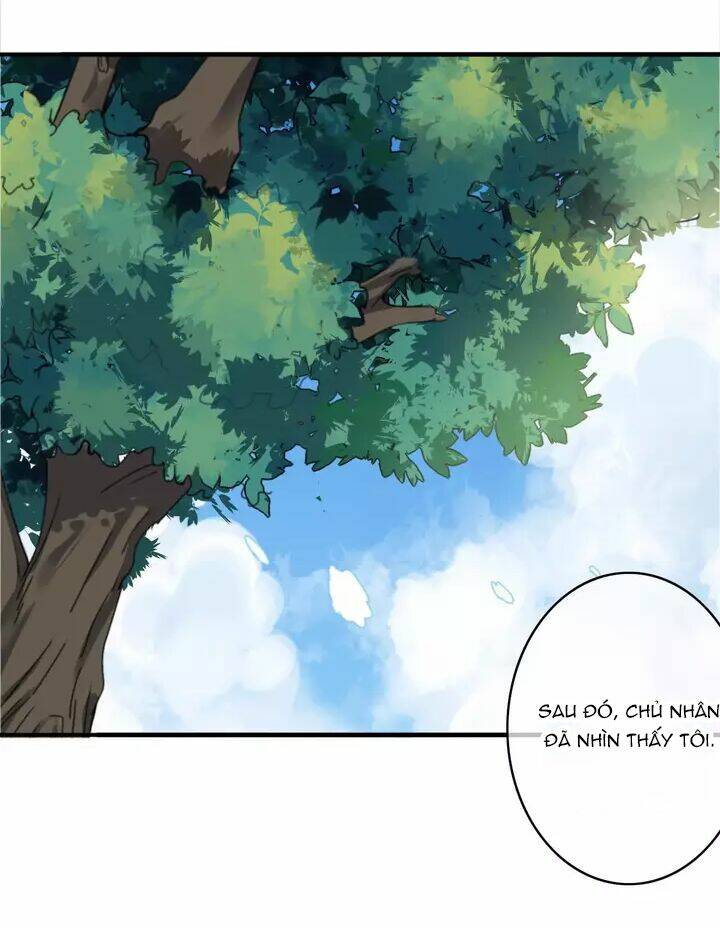 thập quang mật ngữ chapter 11.5 42