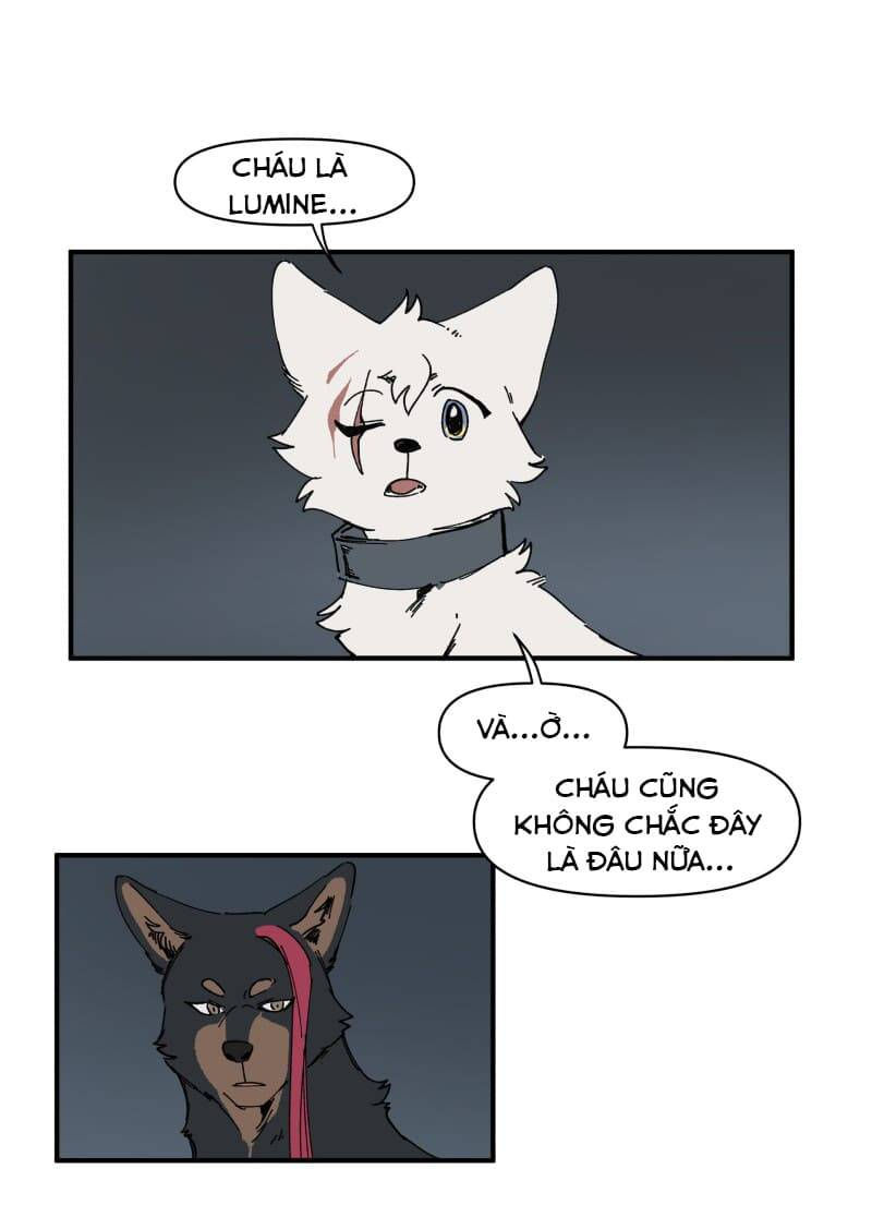 lumine - cội nguồn ánh sáng chapter 143 9