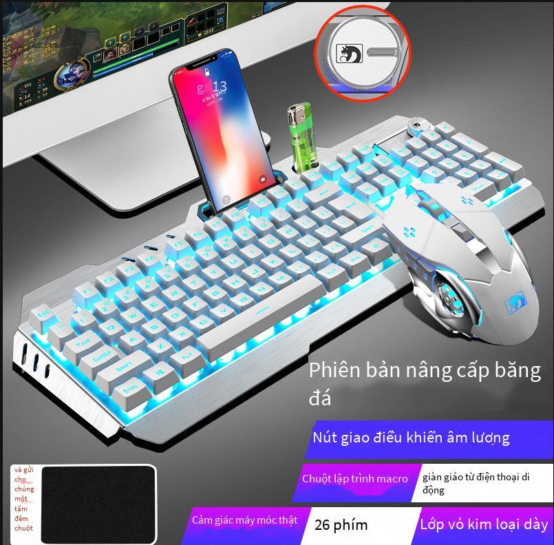 Giá thấp nhất Xinmeng Mamba con rắn điên thao túng bộ bàn phím chuột trò chơi máy tính xách tay máy tính để bàn chuột phím có dây