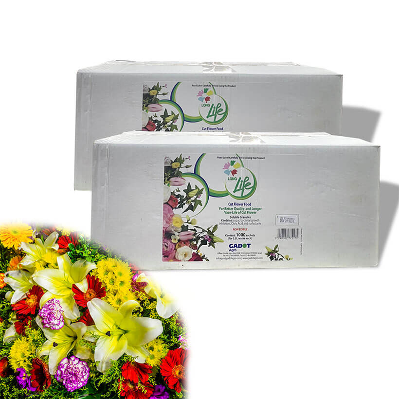 Giá Sỉ Thuốc dưỡng hoa Longlife Gói 5gr Hiệu LongLife Israel là bí quyết giúp hoa cắm bình lâu tàn và 14 ngày không thay nước mới tại vưa sỉ hoa