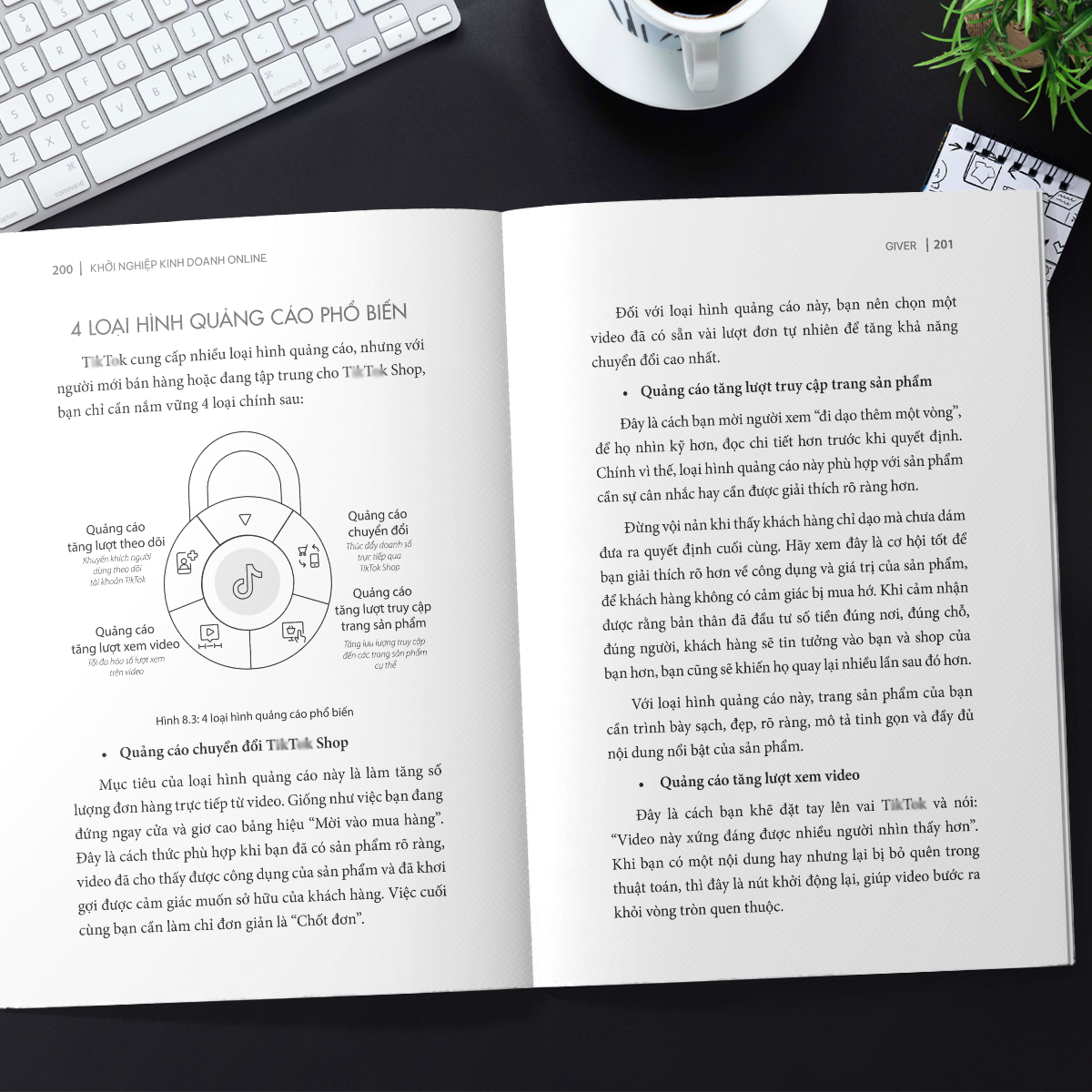 Sách - Khởi Nghiệp Kinh Doanh Online - Bán Hàng Hiệu Quả Trên Sàn TMĐT 3