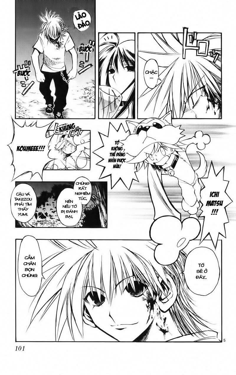 mixim12 chapter 19 5