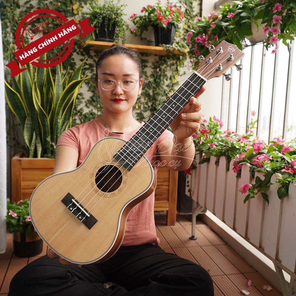 Đàn Ukulele Concert CHARD 24YM-S, Gỗ Vân Sam Nguyên Tấm, Âm Thanh Hay - Hàng Chính Hãng