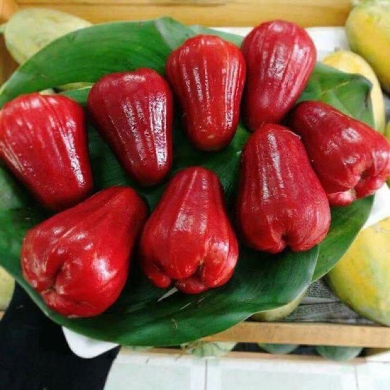 Mận An Phước / roi đỏ , xanh