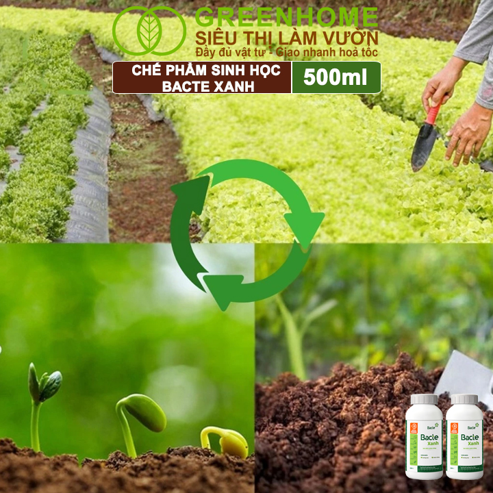 Chế Phẩm Sinh Học Bacte Xanh, Greenhome,Chai 500ml,Ngăn Ngừa Sương Mai, Phấn Trắng,Tốt Cho Cây Trồng