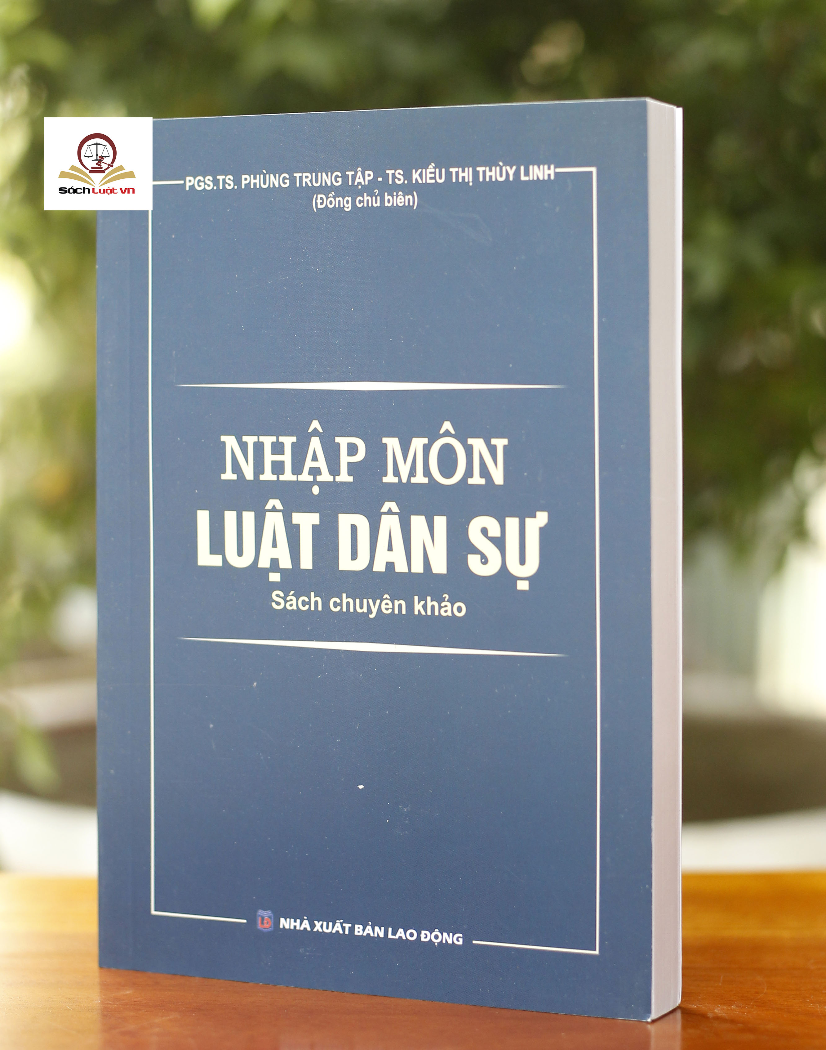 Nhập Môn Luật Dân Sự - Sách Chuyên Khảo