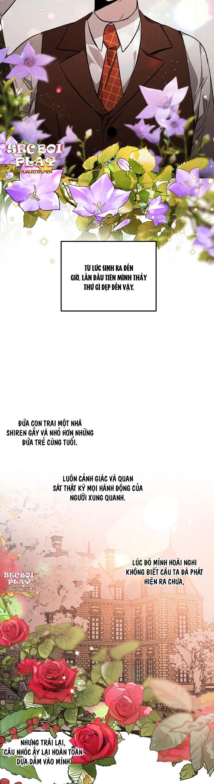 khu vườn hoa lavender chapter 2 16