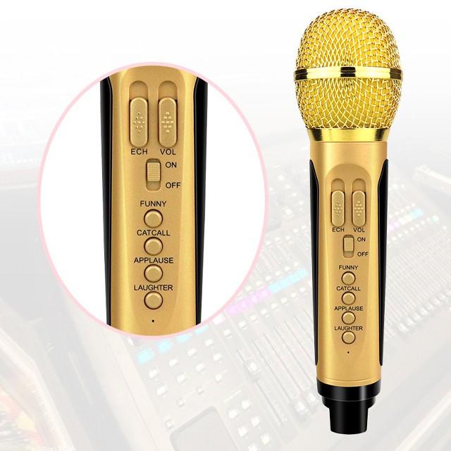 Loa karaoke không dây di động hai Mic, Loa kéo micro ko dây hình mắt cú công suất cao SD 306 - Hàng chính hãng