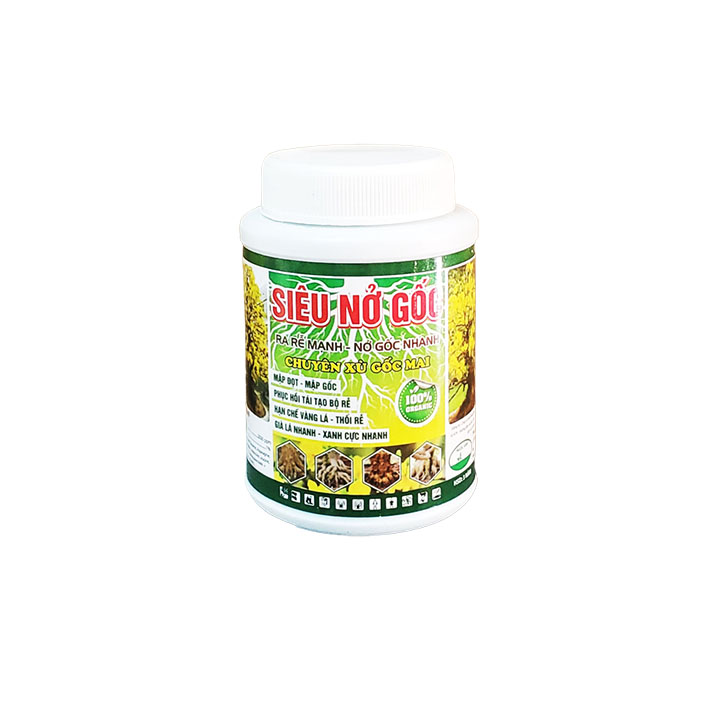 Phân bón mai - nở gốc mai, xù gốc mai, kích rễ, mập thân, xanh lá