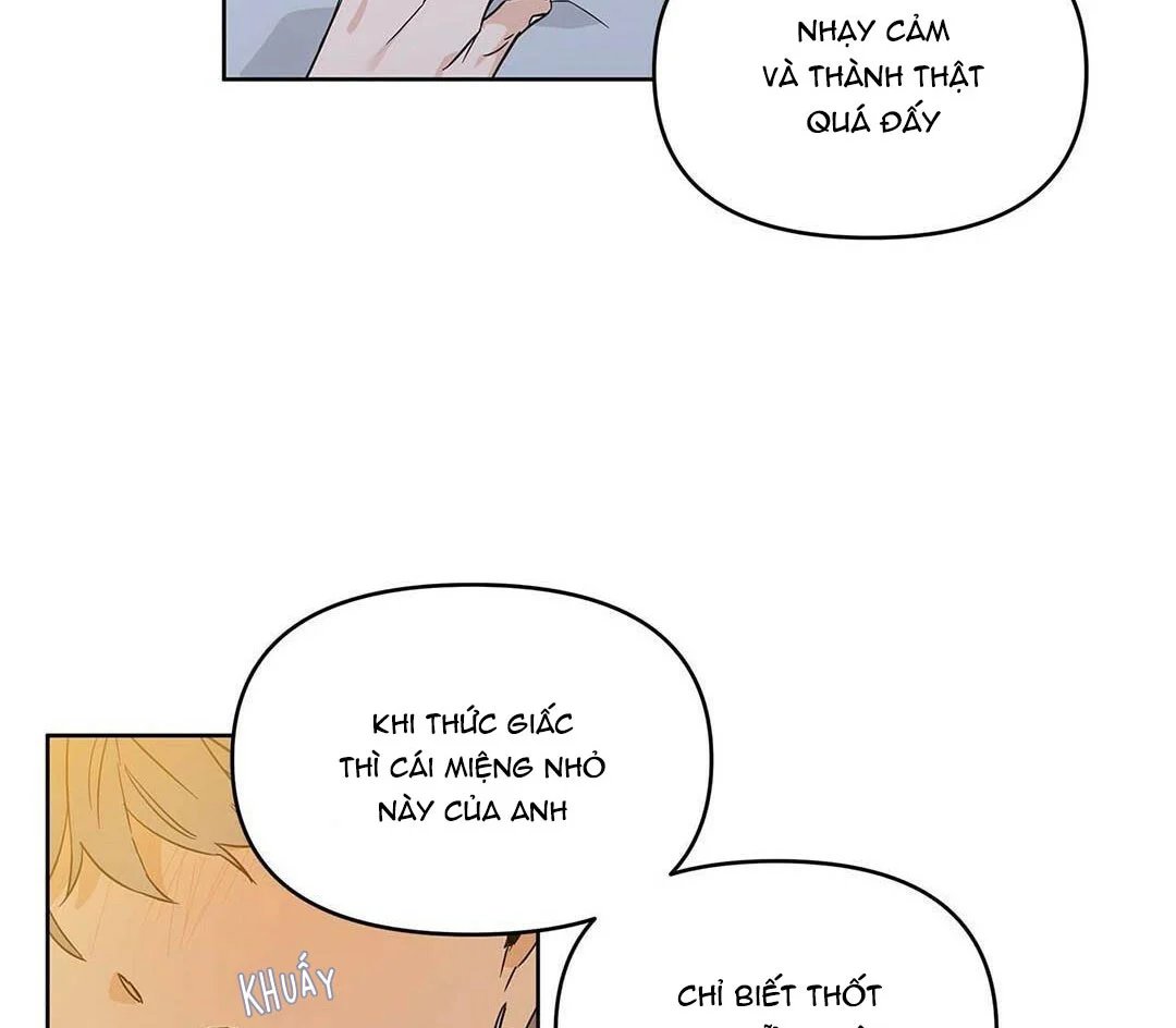 guide cấp b chapter 17 32