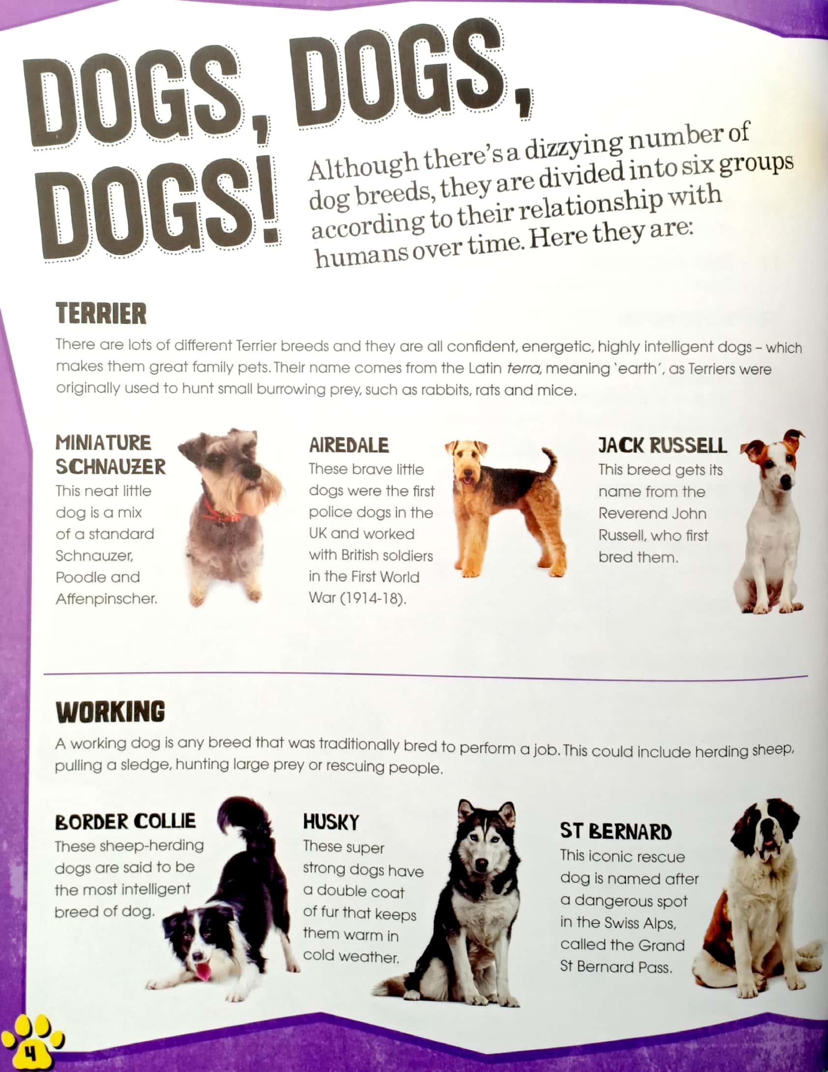 Dogs (Pet Expert)