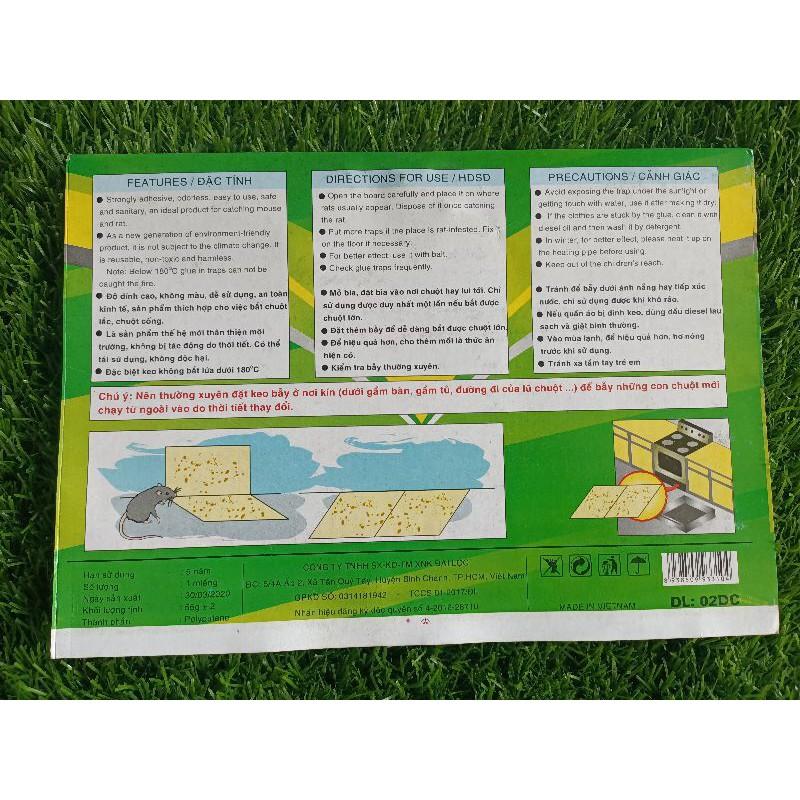 100 miếng bẫy chuột Đại Lộc