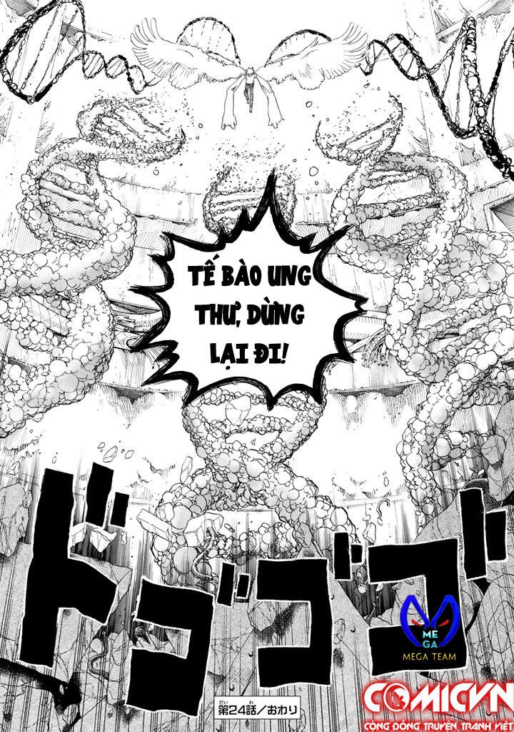 hataraku saibou! chapter 24 33