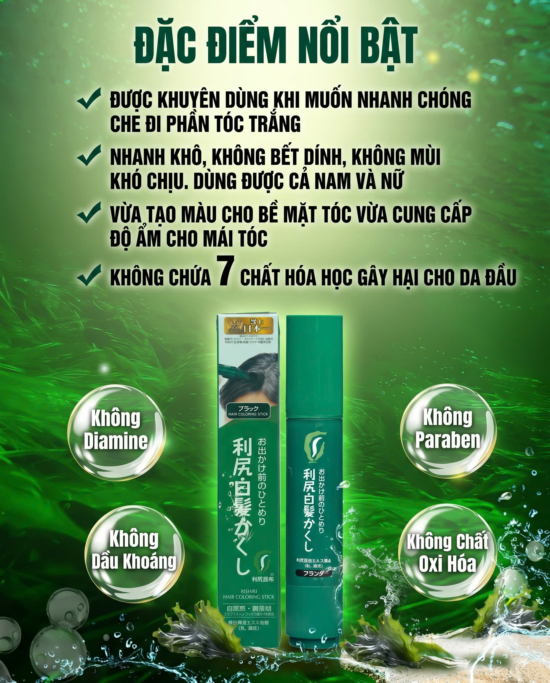 Bút Nhuộm Chân Tóc Phủ Bạc Tạm Thời Cao Cấp Rishiri Nhật Bản Color Stick 20G